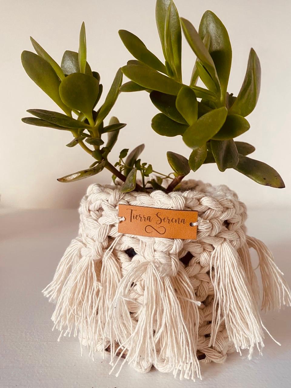 Contenedor "Serena" - Image 2