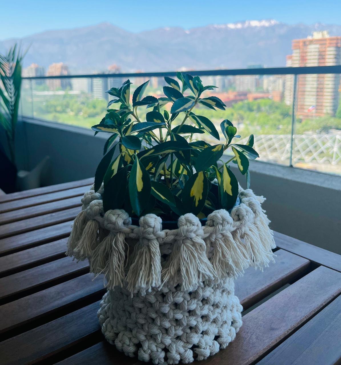 Contenedor "Serena" - Image 6